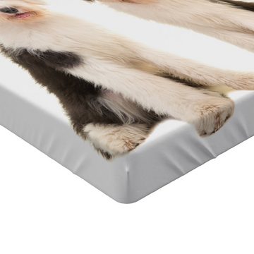 Spannbettlaken Soft Dekorativer Stoff Bettwäsche Rund-um Elastischer Gummizug, Abakuhaus, Englisch Sheepdog Junger Erwachsener Hund