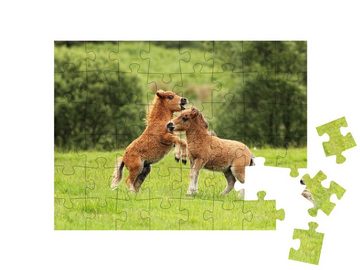puzzleYOU Puzzle Zwei Shetlandpony-Fohlen im Spiel, 48 Puzzleteile, puzzleYOU-Kollektionen Pferde, Shetlandpony