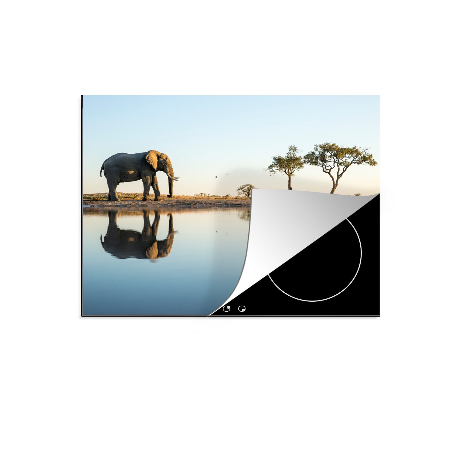 MuchoWow Herdblende-/Abdeckplatte Elefant - Wasser tlg), 59x52 Tiere Bäume Induktionsmatte Natur, Vinyl, für - die - küche, cm, - (1 Ceranfeldabdeckung