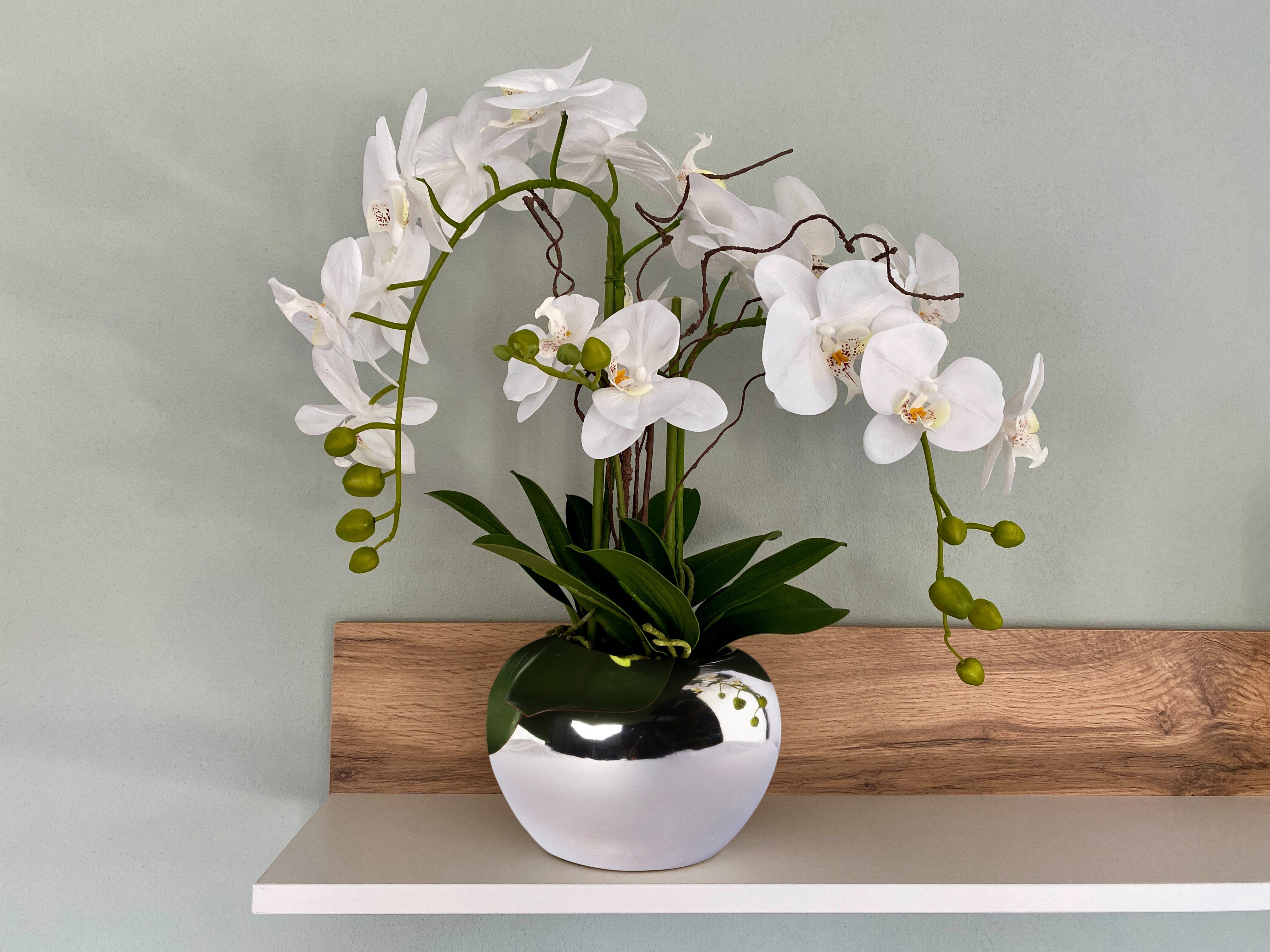 Creativ Phalaenopsis, Keramiktopf, green Höhe 55 cm, green, Creativ Kunstorchidee im silber Kunstblume