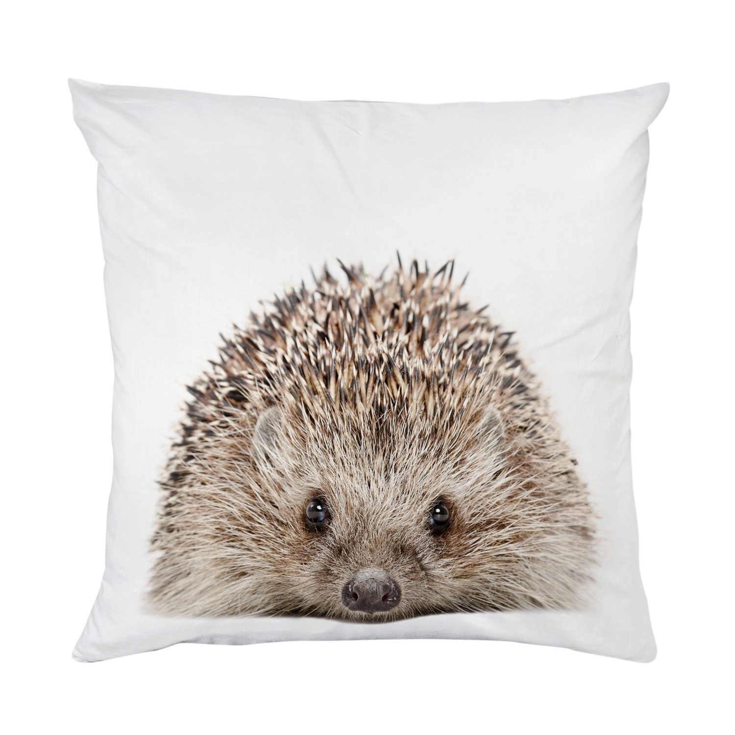 queence Dekokissen Igel, Kissenhülle mit HD günstig online kaufen