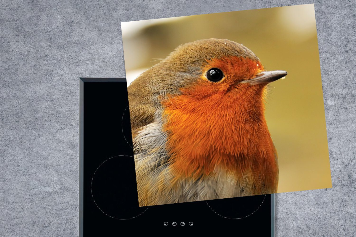 MuchoWow Herdblende-/Abdeckplatte Vogel - Rotkehlchen cm, küche für (1 Porträt, Ceranfeldabdeckung, Vinyl, tlg), 78x78 - Arbeitsplatte