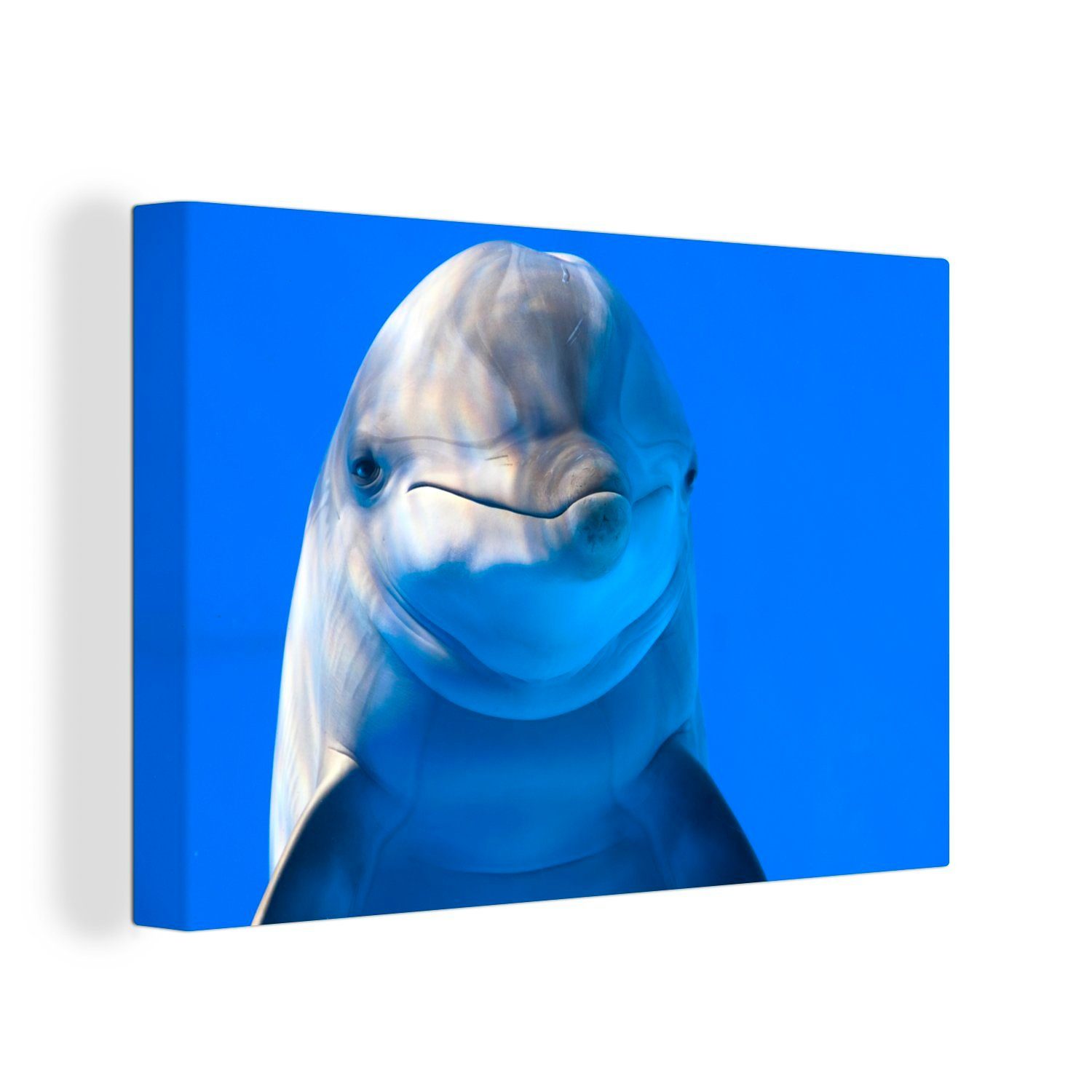 OneMillionCanvasses® Leinwandbild Delfin in einem Aquarium, (1 St), Wandbild Leinwandbilder, Aufhängefertig, Wanddeko, 30x20 cm