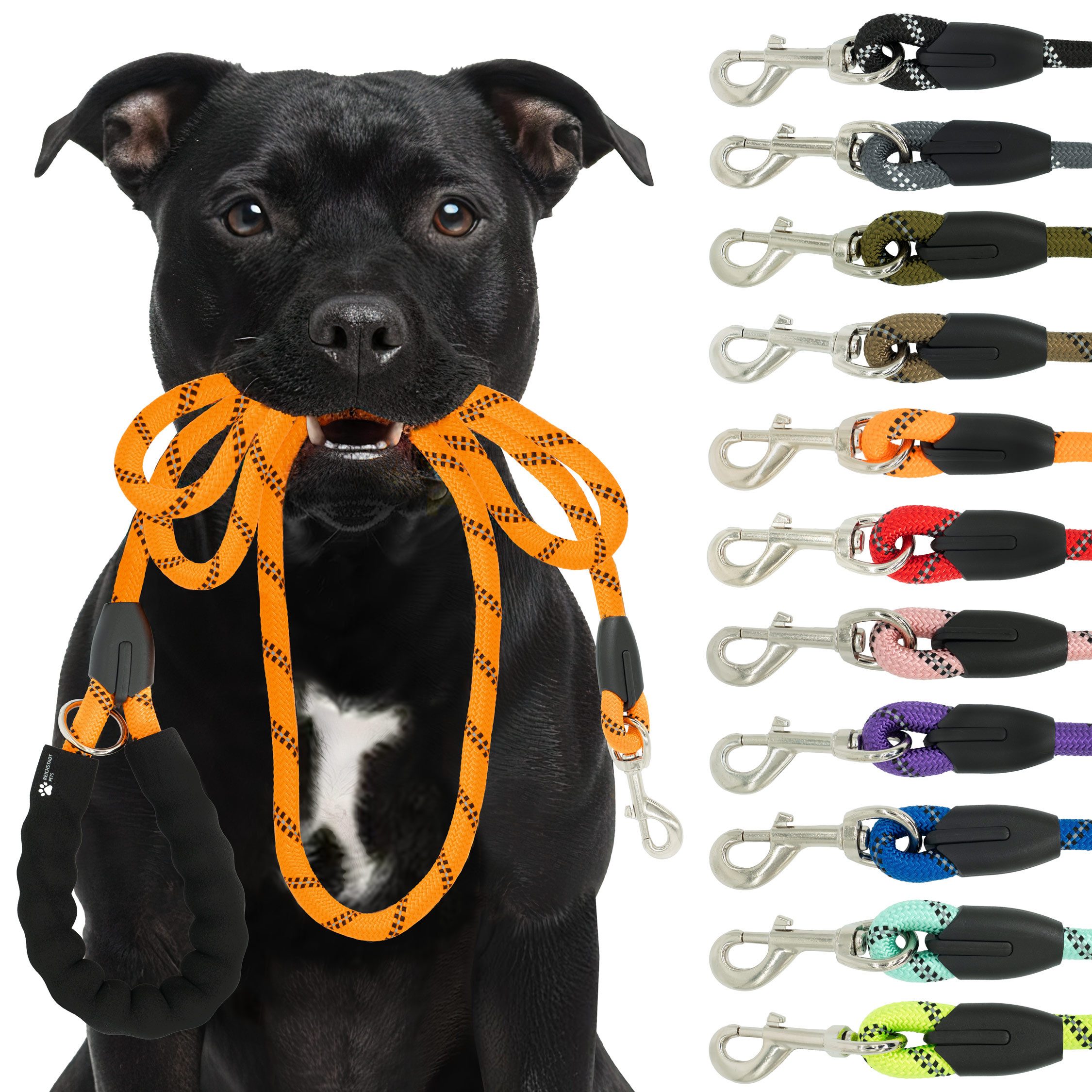 Reichstadt Hundeleine Führleine Nylon 25RSP084, Nylon, Ergonomischer EVA-gepolsterter Griff für Blasenschutz