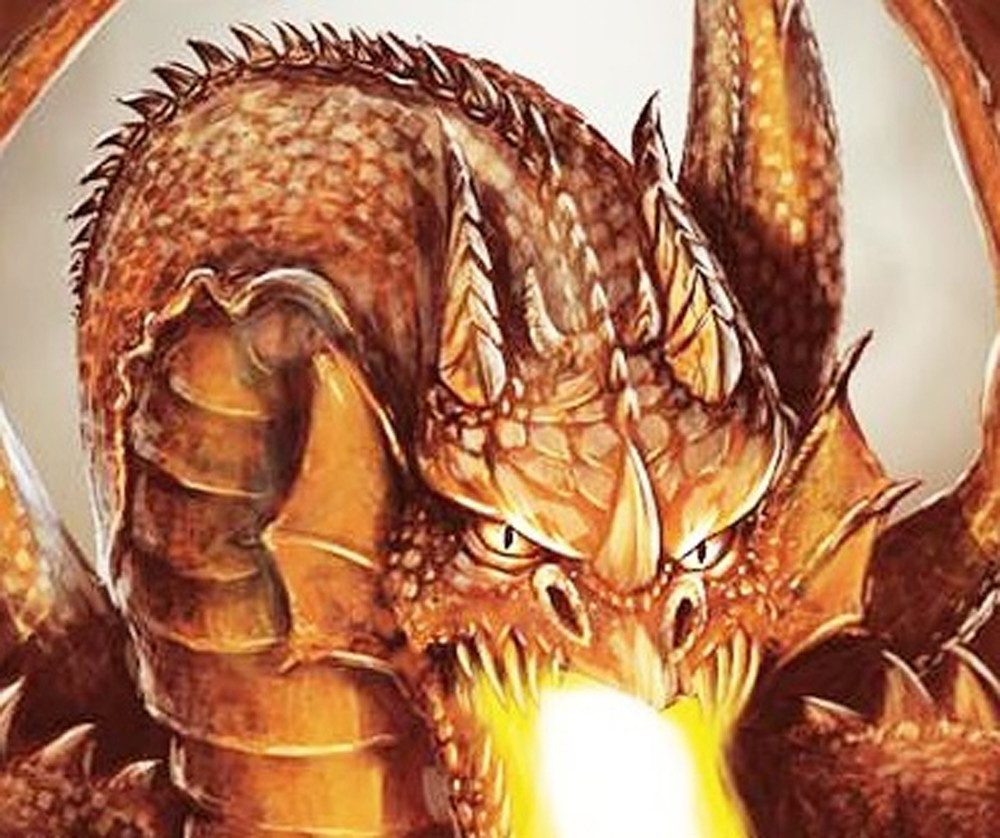 JACK Bettwäsche JACK Renforce Bettwäsche 135x200cm Feuer Drache Grau Terra Fire Dragon, Renforcé, 2 teilig, hochwertiger Fotodruck, 2 tlg., Reißverschluss, Feue – Bild 4 von 5