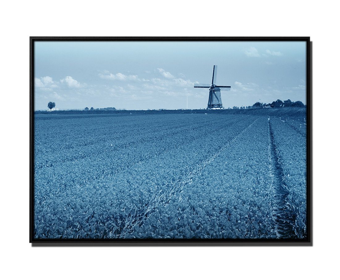 Sinus Art Leinwandbild 105x75cm Leinwandbild Petrol Wiese Tulpen Windmühle