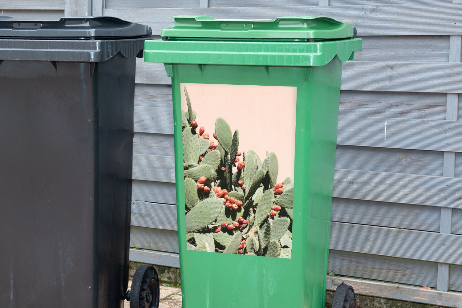 Mülltonne, vor rosa Wandsticker Wand Mülleimer-aufkleber, St), Sticker, (1 Abfalbehälter einer Container, Feigenkaktus MuchoWow
