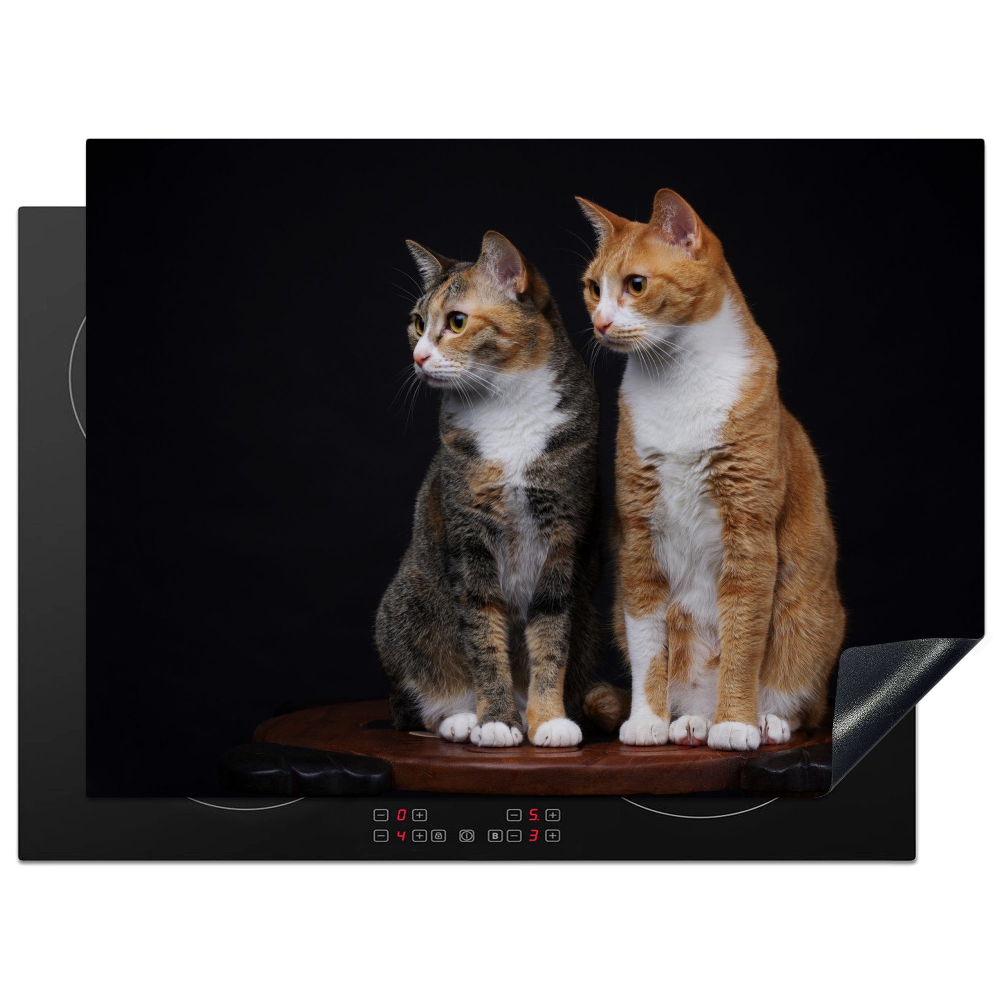 cm, Herdblende-/Abdeckplatte Zwei Mobile Katzen 70x52 Vinyl, Ceranfeldabdeckung (1 nutzbar, Hintergrund, tlg), auf MuchoWow schwarzem Arbeitsfläche