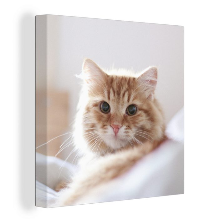 OneMillionCanvasses® Leinwandbild Katze - Rot - Bett - Mädchen - Kinder - Jungen (1 St) Leinwand Bilder für Wohnzimmer Schlafzimmer