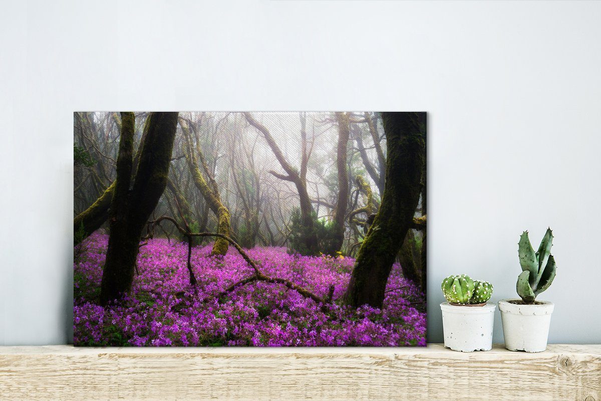 OneMillionCanvasses® Leinwandbild Leuchtend rosa Aufhängefertig, Wanddeko, 30x20 Blumen im Leinwandbilder, Wandbild cm in Spanien, (1 Garajonay-Nationalpark St)