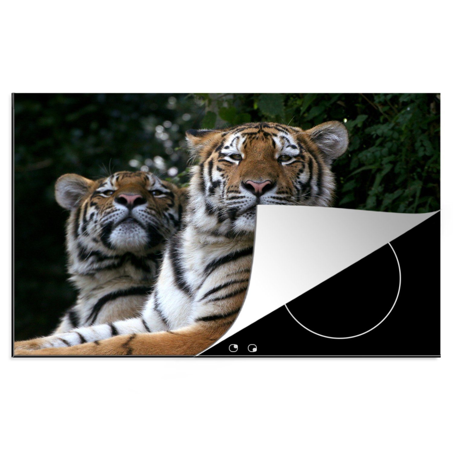 MuchoWow Herdblende-/Abdeckplatte Tiger - Wald - Köpfe, Vinyl, (1 tlg), 81x52 cm, Induktionskochfeld Schutz für die küche, Ceranfeldabdeckung