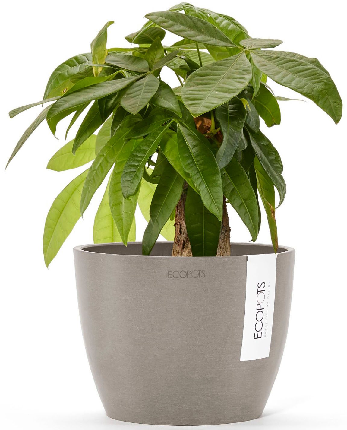 ECOPOTS Blumentopf Stockholm Mini 16 Taupe, für innen und außen: frostsiche günstig online kaufen