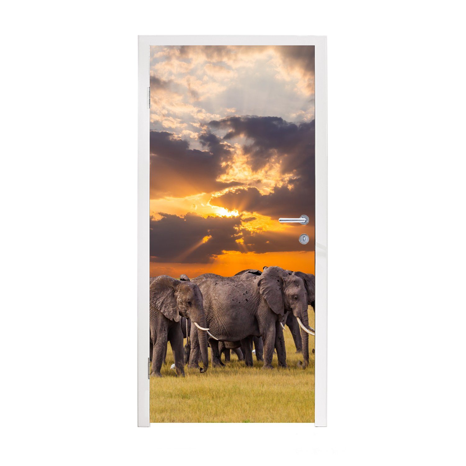 MuchoWow Türtapete Elefant - Tiere - Gras - Sonnenuntergang - Natur, Matt, bedruckt, (1 St), Fototapete für Tür, Türaufkleber, 75x205 cm
