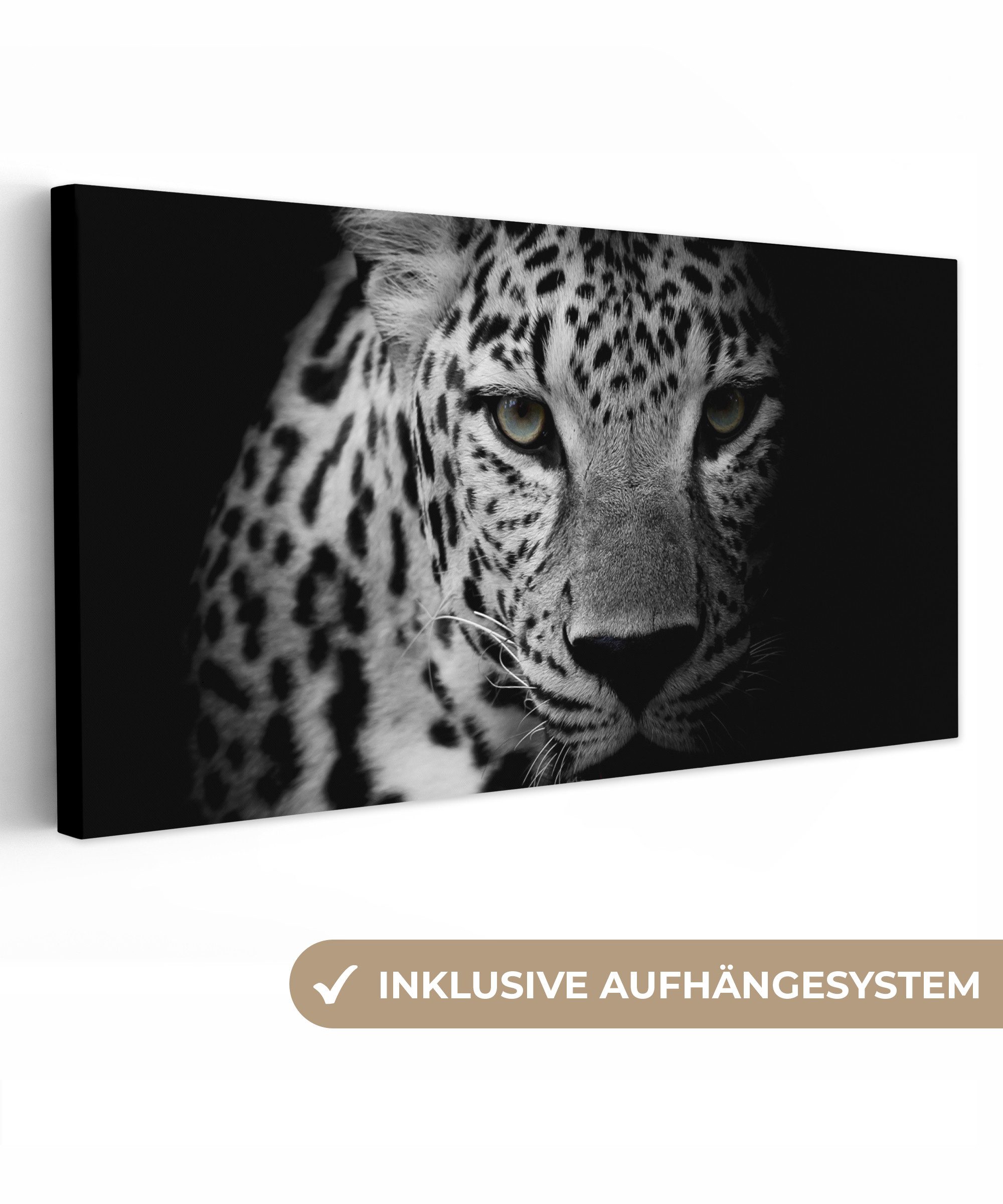 OneMillionCanvasses® Leinwandbild Panorama Tiere - Schwarz günstig online kaufen