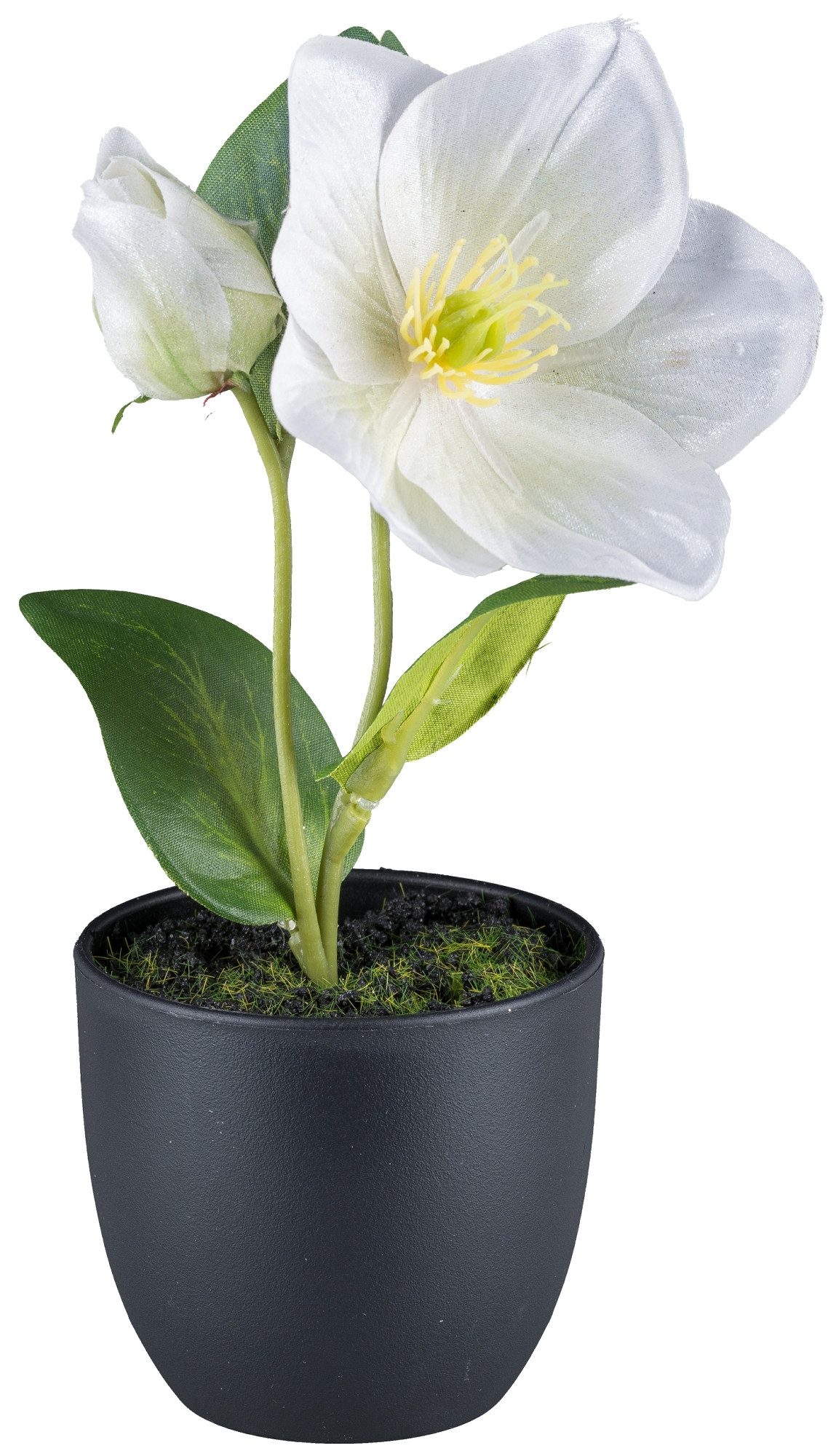 Kunstblume Kunstblume Christrose, Schneerose im Topf. ca 19cm. Weiß, Gasper