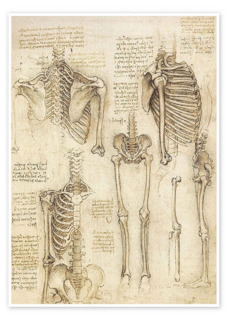 Posterlounge Poster Leonardo da Vinci, Anatomie-Studie, Skelett, Illustration