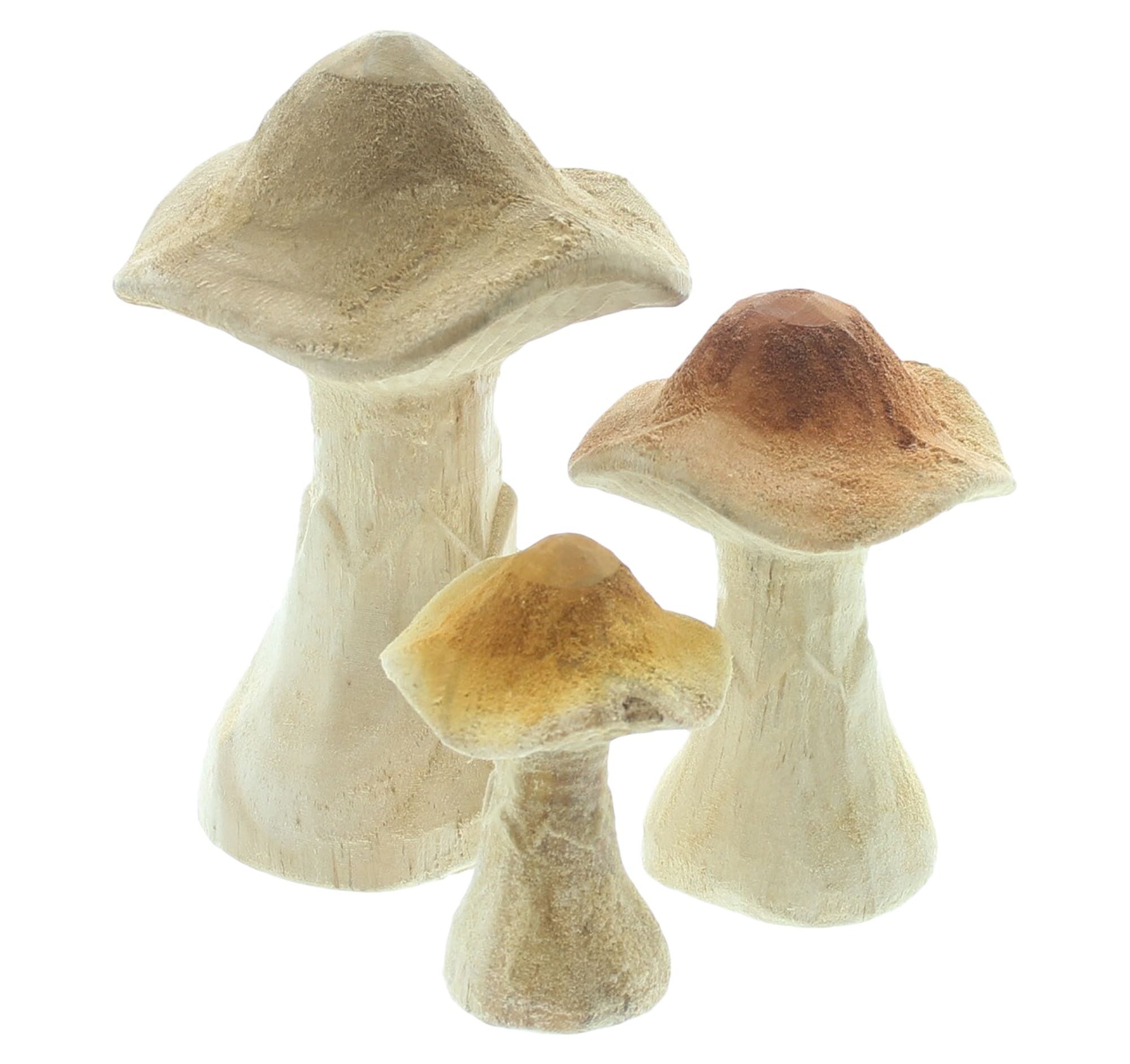 Dekoleidenschaft Dekofigur Pilz "Natural" aus Holz, große Dekopilze, Pilzset, Herbstdeko Pilze (3 St., im Set), Pilzdeko 7 10 14 cm hoch, Herbst Deko, Holzpilze