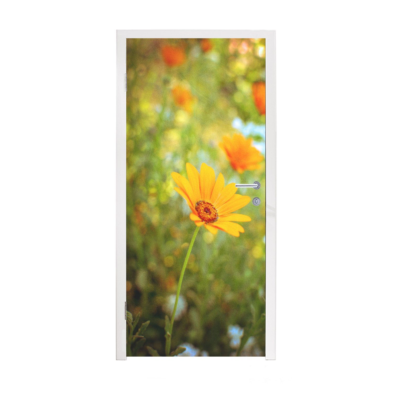 MuchoWow Türtapete Ringelblume aus der Nähe, Matt, bedruckt, (1 St), Fototapete für Tür, Türaufkleber, 75x205 cm