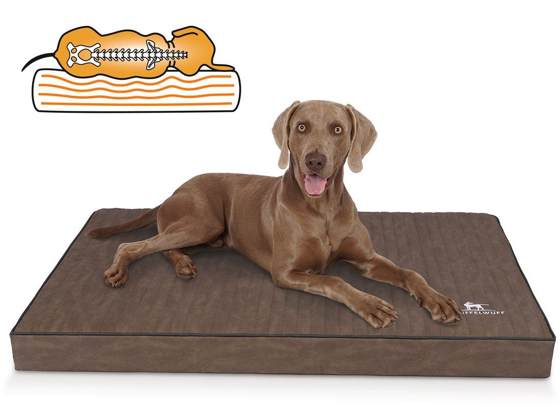 Hundematte Palomino
