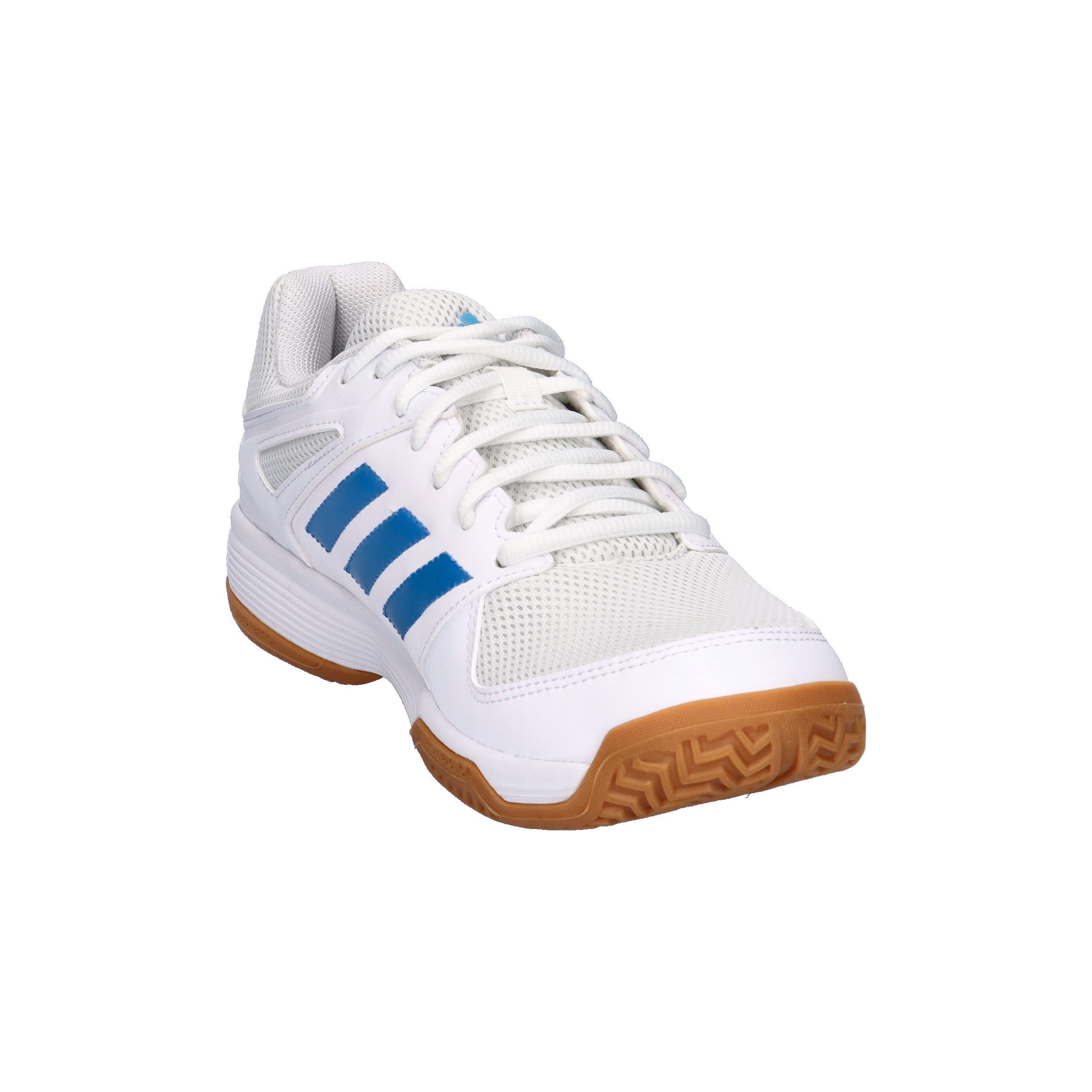adidas Performance adidas Herren Volleyballschuhe Speedcourt M Hallenschuh günstig online kaufen