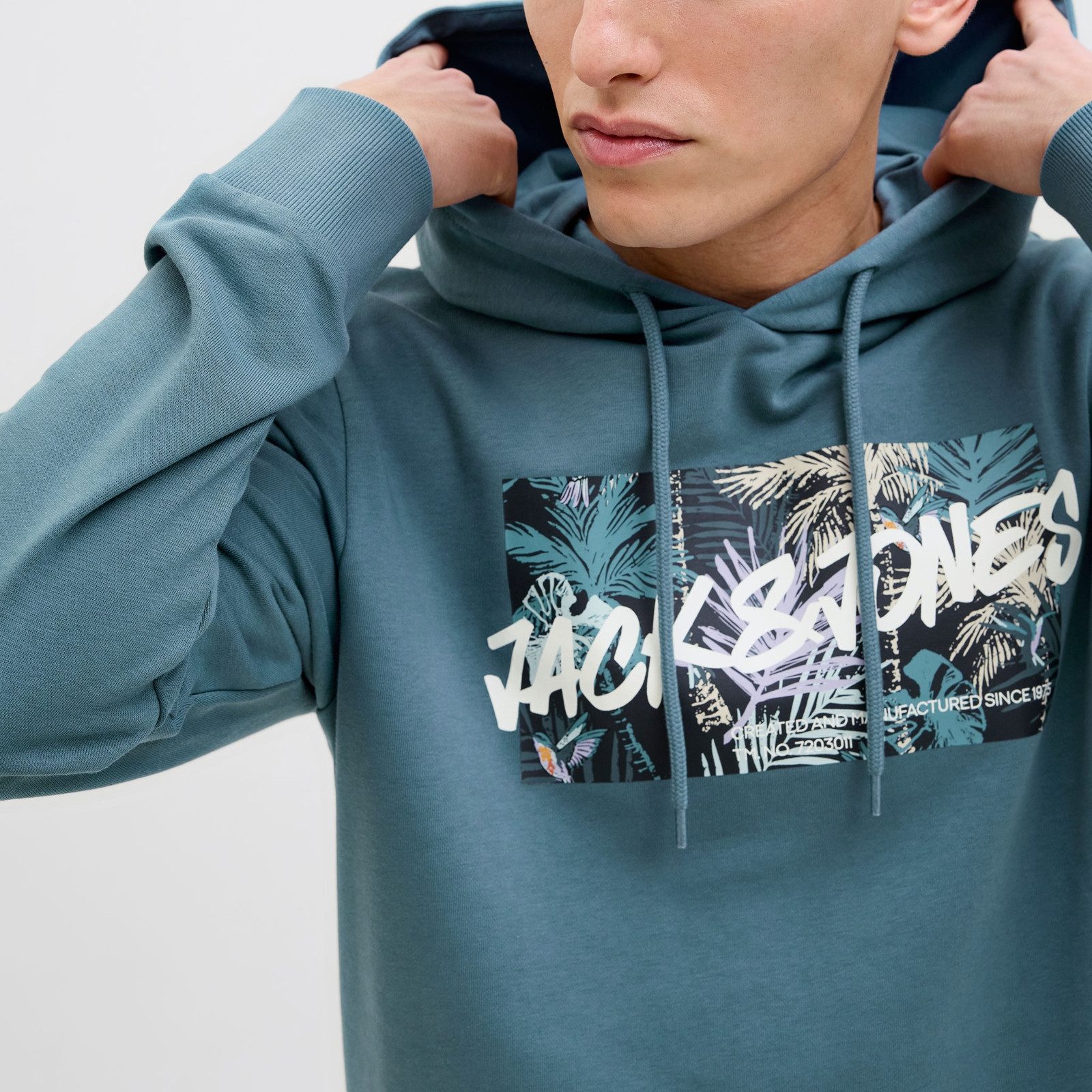 Jack & Jones Hoodie JJHawaii Shape Sweat Hood mit großem Print auf der Vorderseite