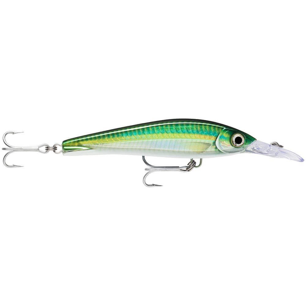 Rapala Kunstköder Rapala X-Rap Magnum Xtreme Wobbler HDBSCD HD Bigeye Scad, (1-St)