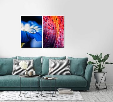 Sinus Art Leinwandbild 2 Bilder je 60x90cm Wasserperle Blumen Friedvoll blaue Blüte Wassertropfen Fotokunst Makrofotografie