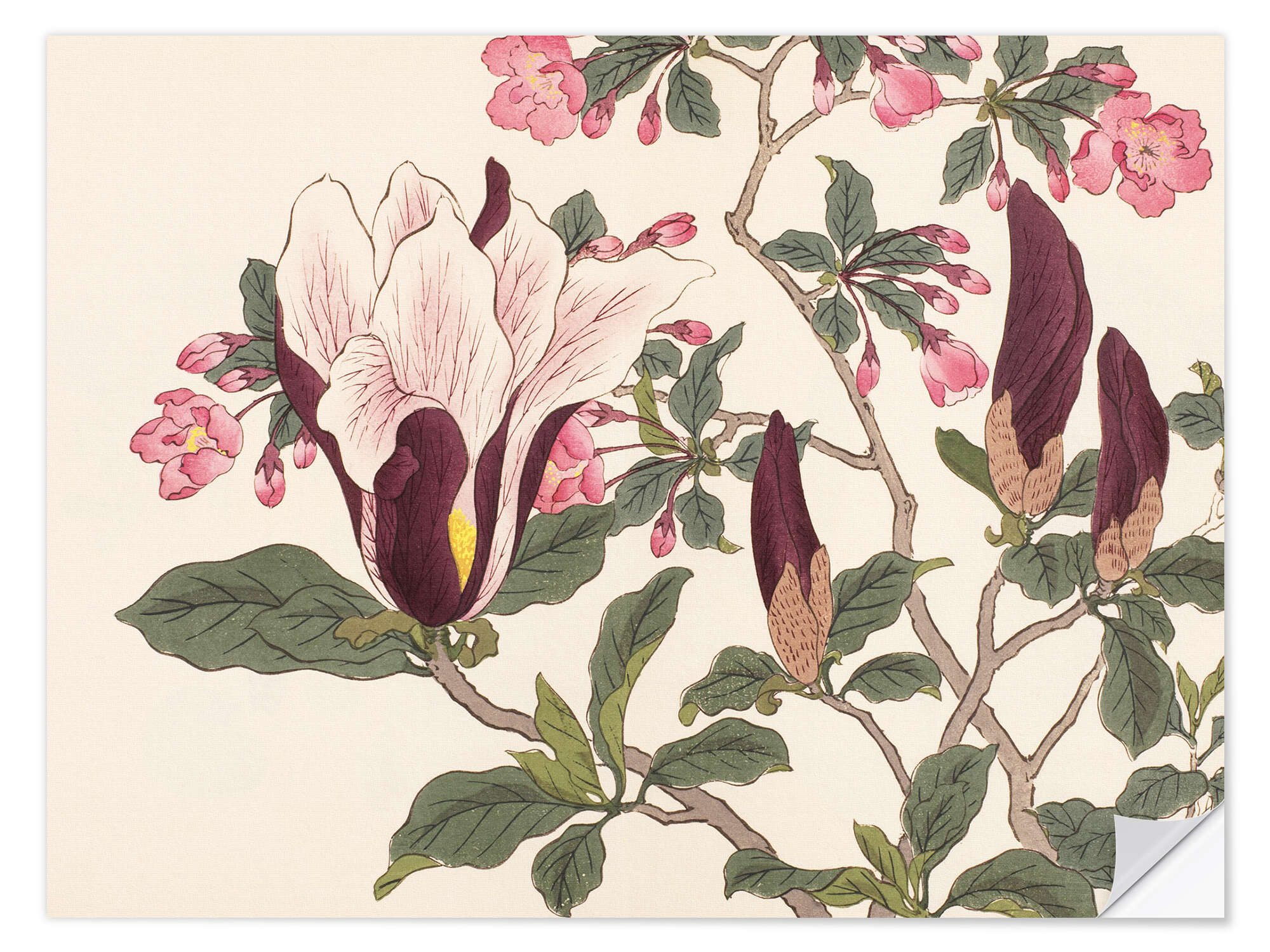Wandfolie Sakai Hōitsu