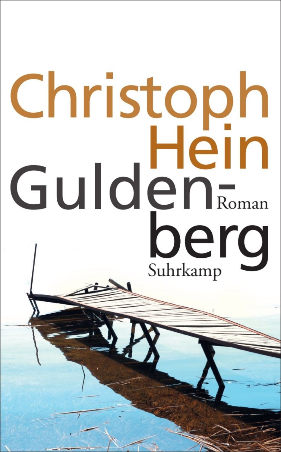 Guldenberg / Christoph Hein, Roman