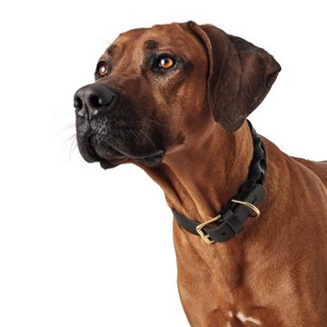 Hunter Tierbedarf Hunde-Halsband Halsband Sansibar Solid schwarz