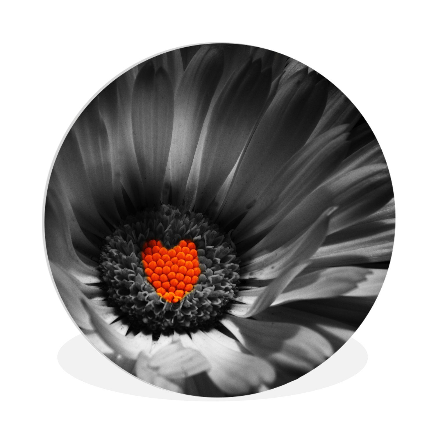 MuchoWow Gemälde Schwarz-Weiß-Foto einer Ringelblume mit einem roten Herz, (1 St), Rundes wandbild für Wohnzimmer, Wandkreis, Wandschmuck, 90x90 cm