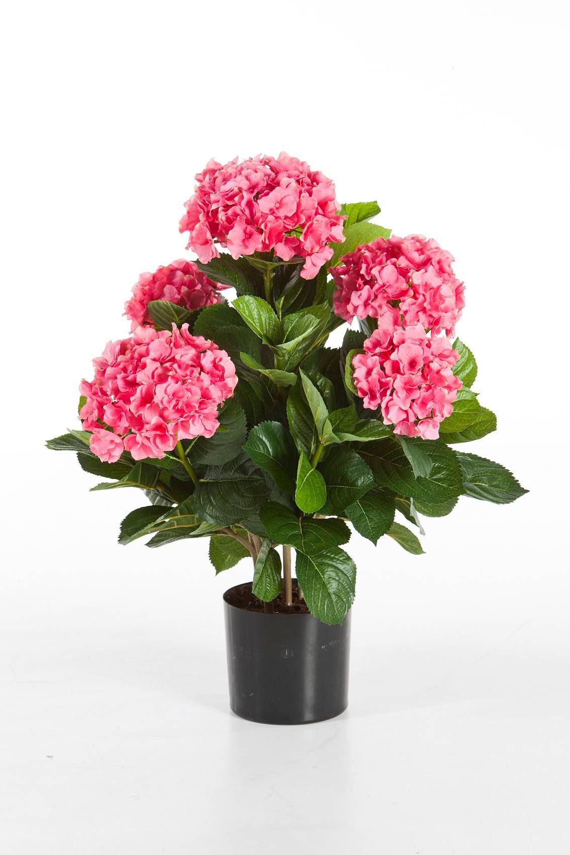 Kunstblume Hortensie Haruka, 230 Blüten, rosa, getopft, 55cm, Ø 35cm Hortensie, artplants, Höhe 55.0 cm