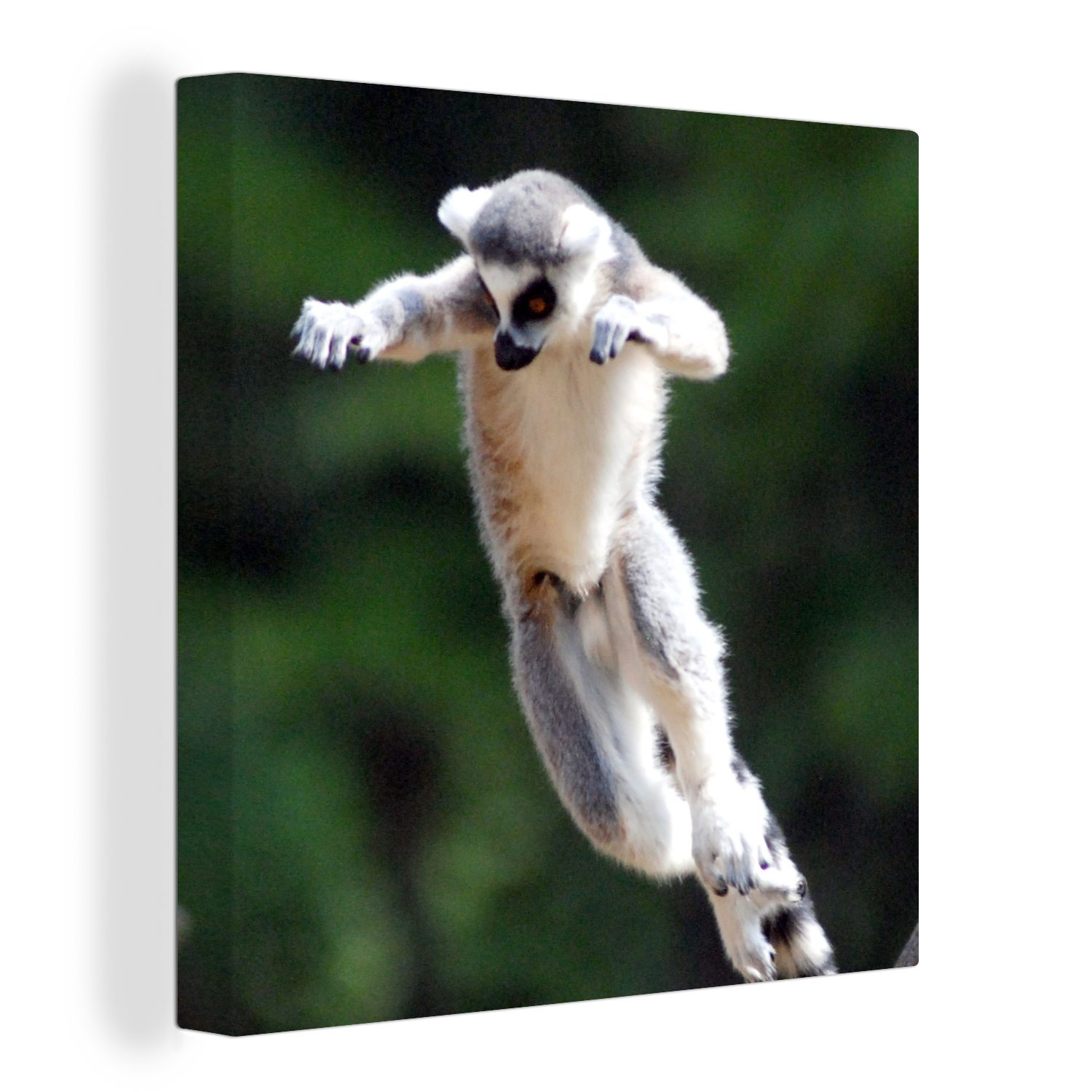 OneMillionCanvasses® Leinwandbild Affe - Ringschwanzlemur - Baum, (1 St), Leinwand Bilder für Wohnzimmer Schlafzimmer