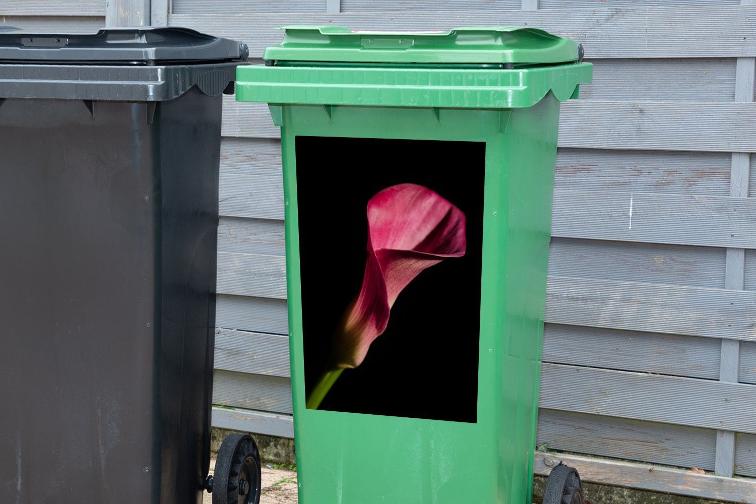 Container, (1 Abfalbehälter Wandsticker St), Dunkelrosa Mülltonne, Mülleimer-aufkleber, MuchoWow Sticker, vor Calla schwarzem Hintergrund