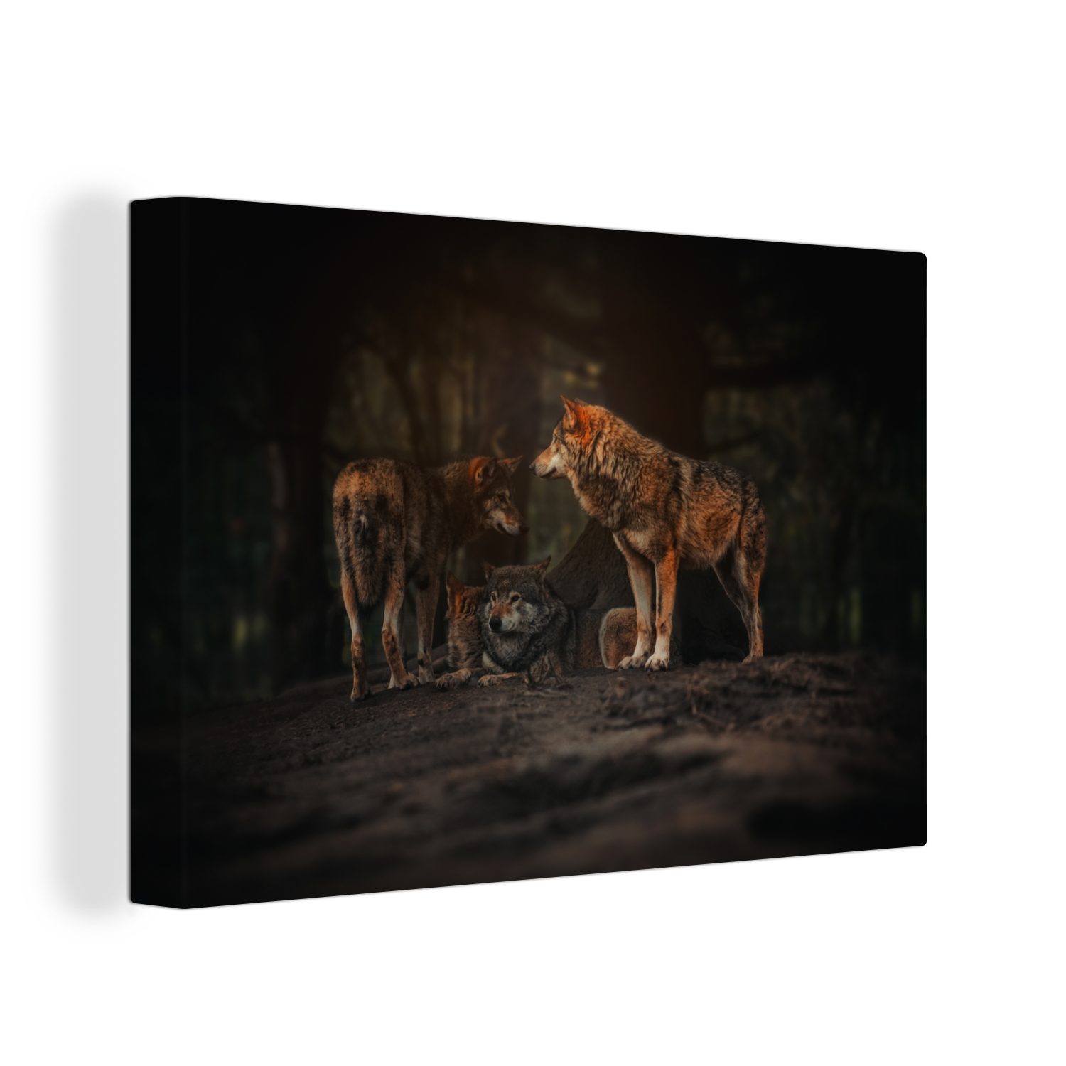OneMillionCanvasses® Leinwandbild Wolf - Tiere - Wald, (1 St), Wandbild Leinwandbilder, Aufhängefertig, Wanddeko, 30x20 cm