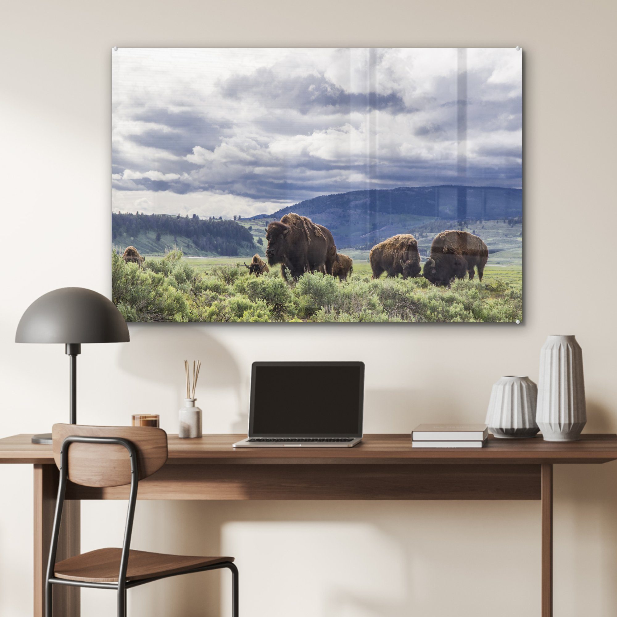 & MuchoWow St), Acrylglasbild Wyoming, Wohnzimmer einer (1 Schlafzimmer in Wiese auf Bison Acrylglasbilder