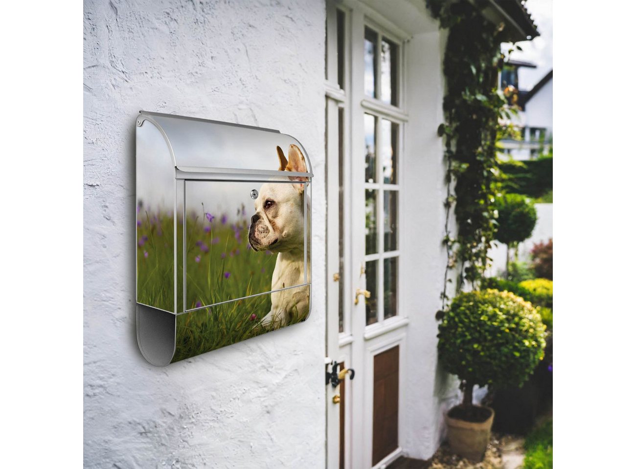 Thumbnail - banjado Wandbriefkasten Stahl Französische Bulldogge (Wandbriefkasten witterungsbeständig, pulverbeschichtet, mit Zeitun...