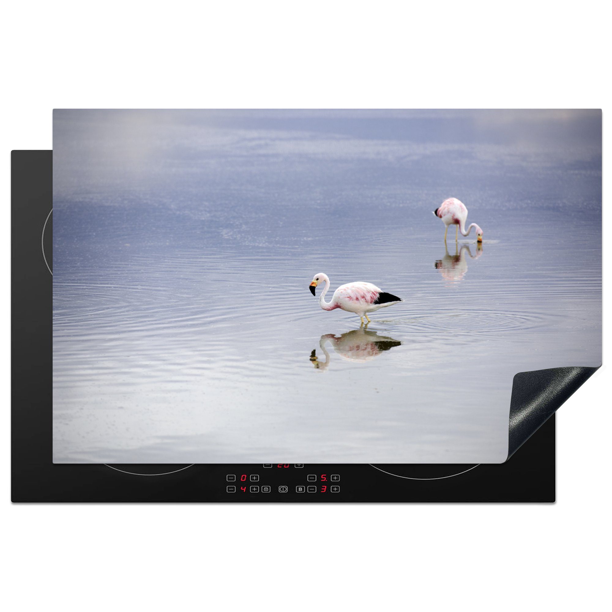 MuchoWow Herdblende-/Abdeckplatte Zwei chilenische Flamingos im klaren Wasser, Vinyl, (1 tlg), 81x52 cm, Induktionskochfeld Schutz für die küche, Ceranfeldabdeckung