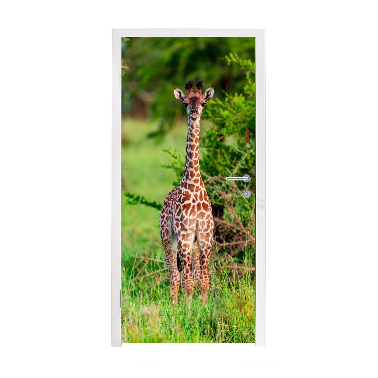 Giraffe Türtapete St), Baby (1 Tür, - MuchoWow Türaufkleber, Pflanzen, bedruckt, Matt, für Fototapete - cm 75x205