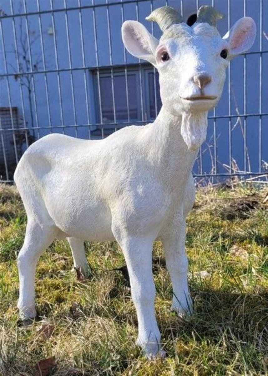 Geschenkestadl Tierfigur Ziege XL Ziegenfigur Tierfigur groß 48cm Tier Garten Bauernhof Hof (1 St)