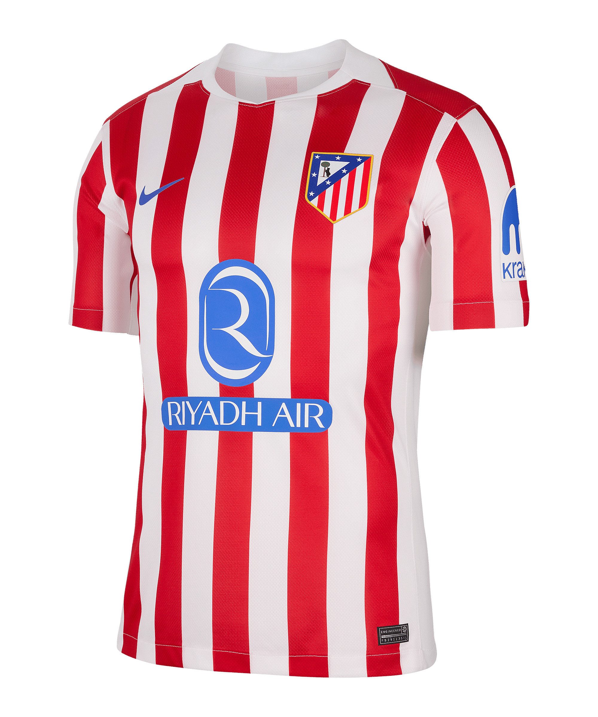 Nike Fußballtrikot Nike Performance Teamsport günstig online kaufen