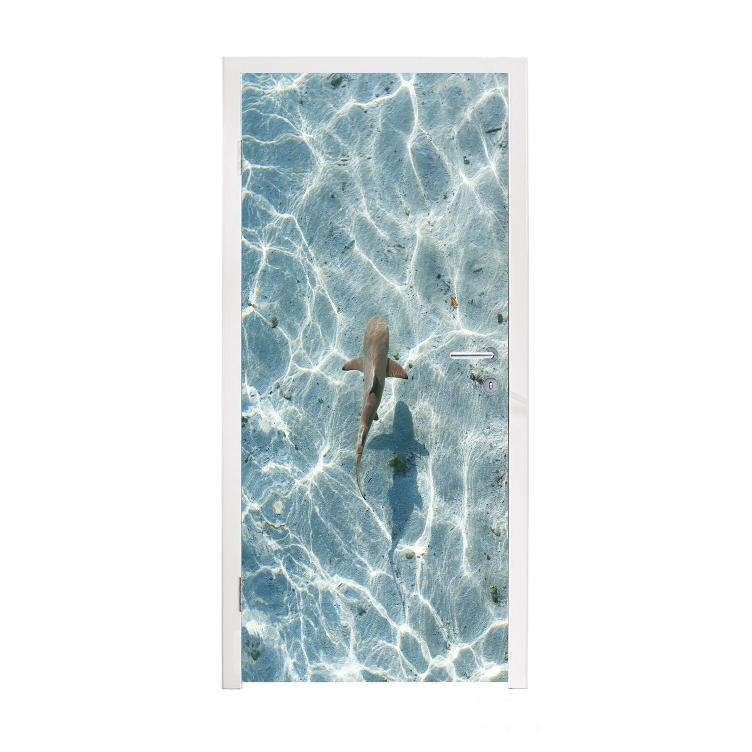 Matt, Türtapete (1 bedruckt, flachen im MuchoWow Fototapete für cm St), Türaufkleber, Wasser, 75x205 Tür, Hai