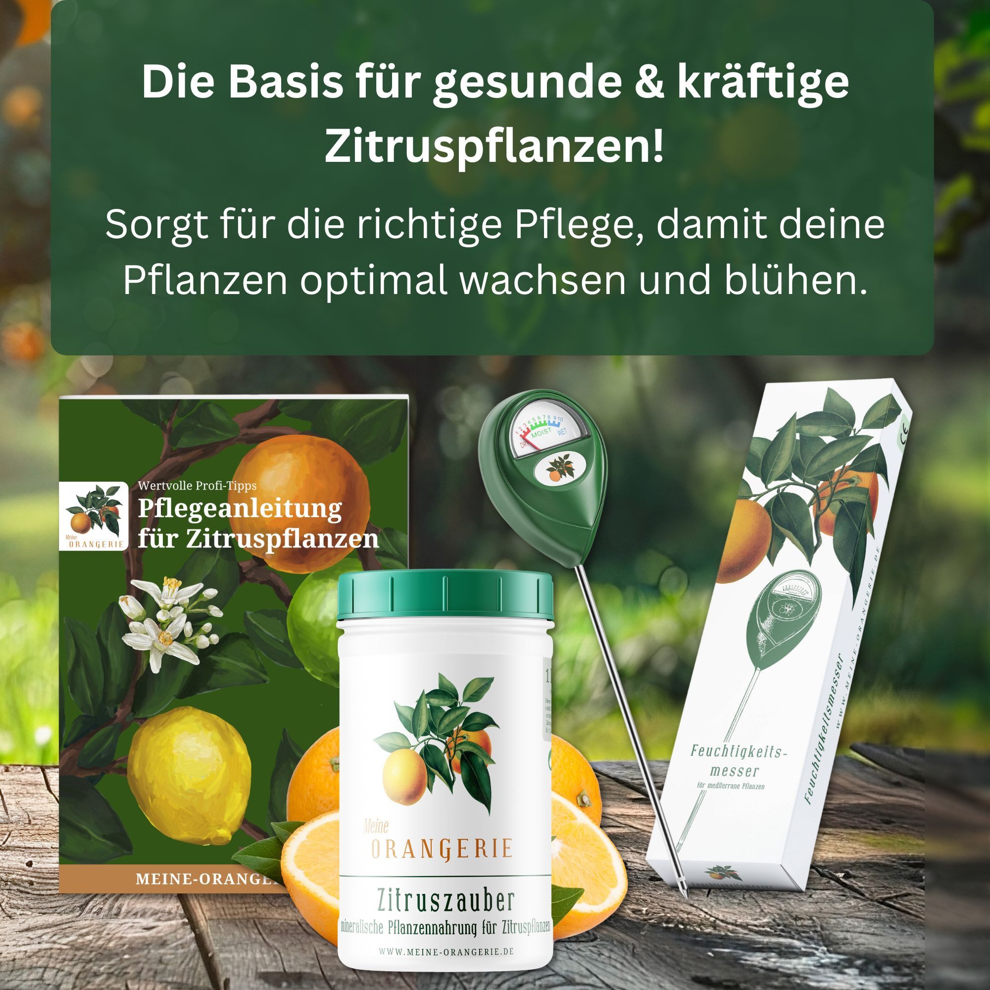 Meine Orangerie Gartenpflege-Set Citrus Pflegepaket Piccolo - kleines Pflegeset für Zitruspflanzen, inkl. Zitrusdünger, Feuchtigkeitsmesser & hilfreicher Pflegebroschüre