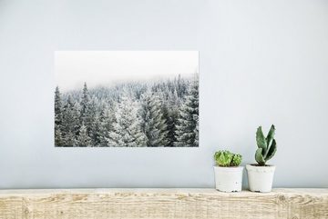 MuchoWow Poster Wald - Schnee - Winter - Jahreszeiten - Tannenbaum, (1 St), Poster, Wandbild, Wandposter für Wohnzimmer, Ohne Rahmen