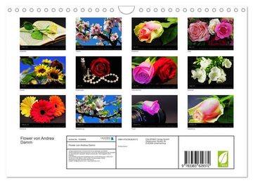 CALVENDO Wandkalender Flower (Wandkalender 2024 DIN A4 quer), CALVENDO Monatskalender
