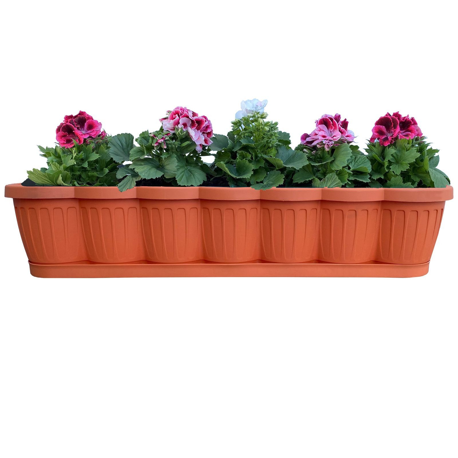 BURI Blumenkasten 1er Set 80cm Blumenkasten Pflanzkasten Terracotta mit Bewässerung