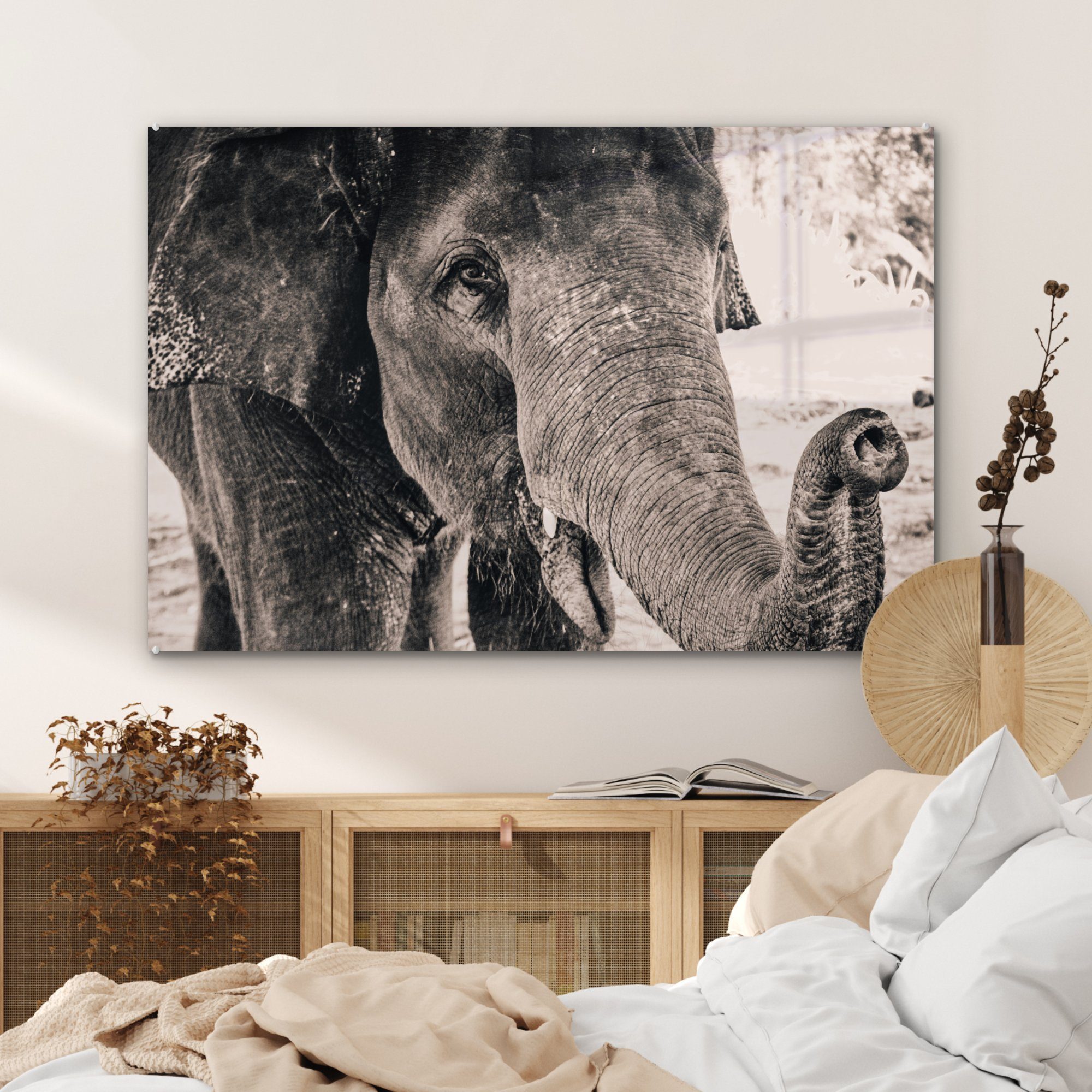 (1 Schwarz Schlafzimmer Acrylglasbild Porträt St), Acrylglasbilder Wohnzimmer Weiß, MuchoWow - & Elefant - -