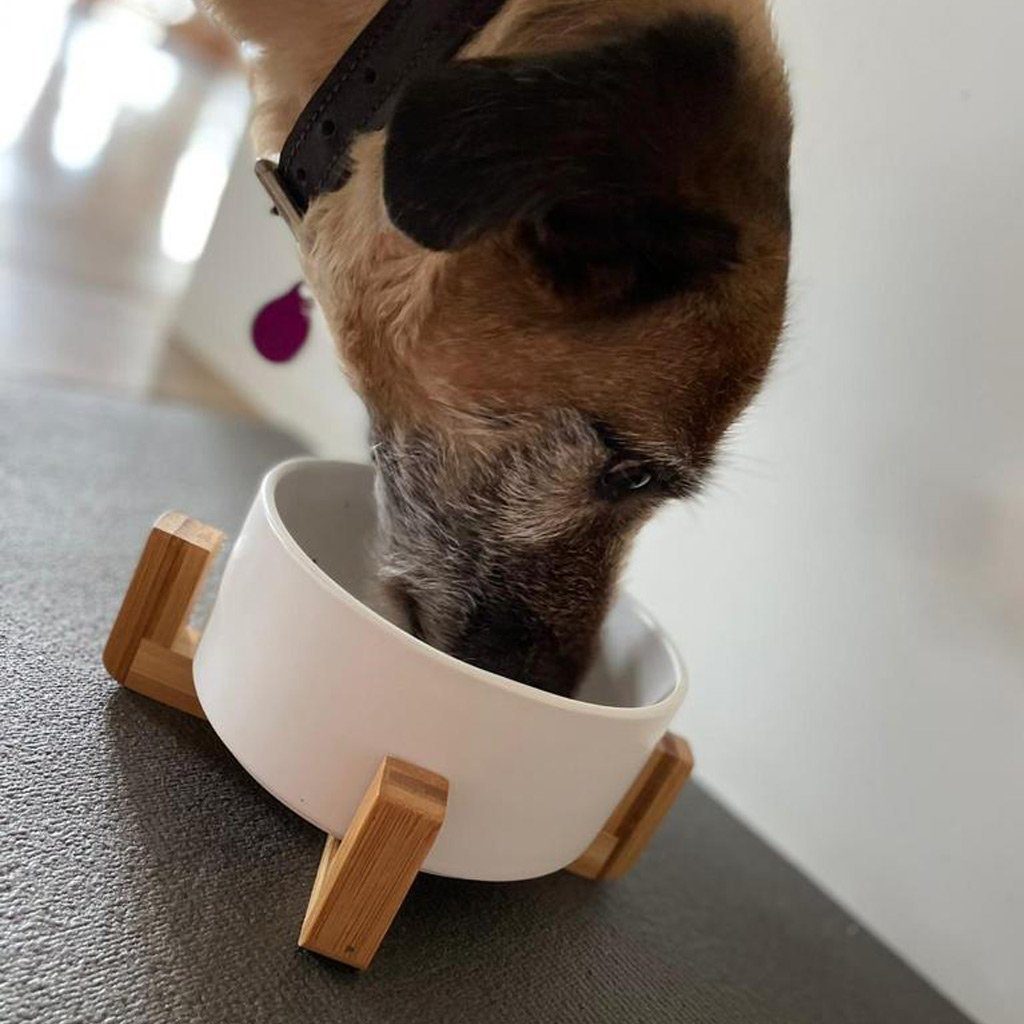 Napf Sanozoo® Napf für Hunde und Katzen aus Bambus & Keramik 2er Set Grau