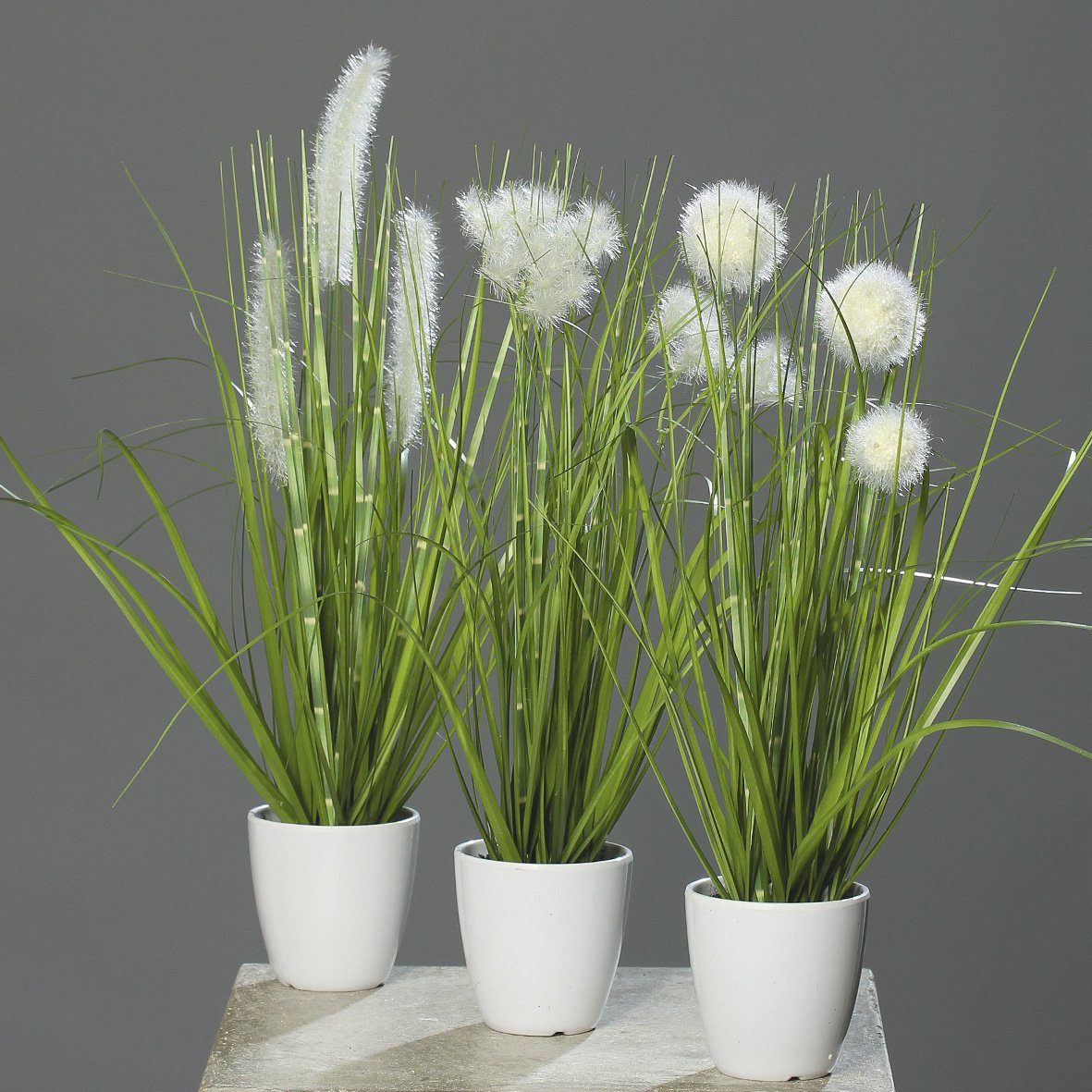 Kunstpflanze Kunstpflanze Gras im weißen Topf 3 Stück H38cm Grün/Creme Kunstgras, mucPlants