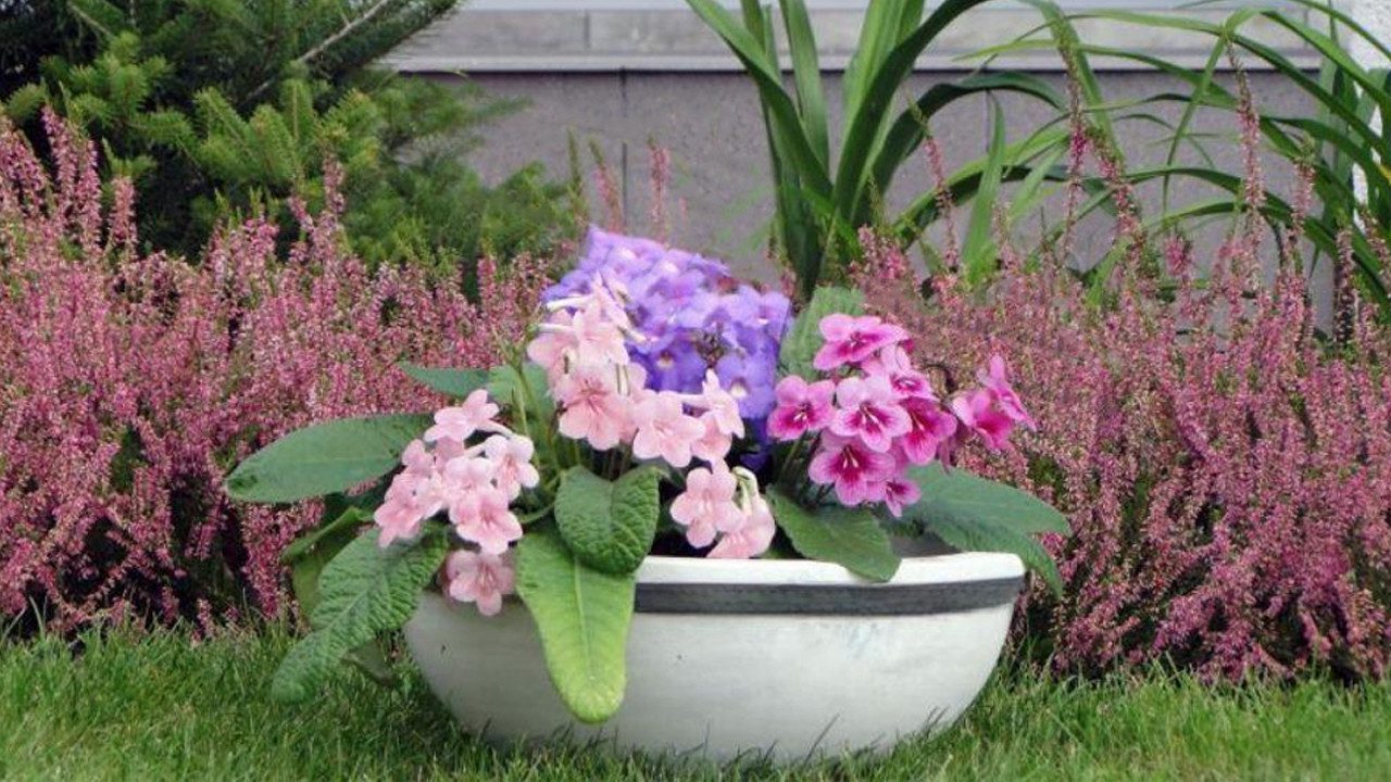 Xlmoebel Pflanzkübel Blumenkorb aus Keramik für Garten und Terrasse, romantisches Design (Pflanzkübel), Hergestellt in Europa